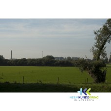 Marsweg Spijk 15-09-2011 Coll. P.Snip (19)
